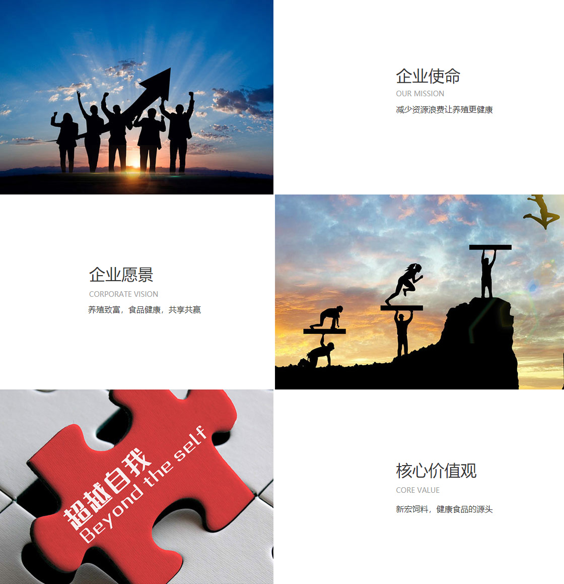 业务版图(图1)
